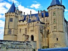 149 DOMAINE DE BLAIRE ET ENVIRONS MAINE ET LOIRE 2016 N0_000042